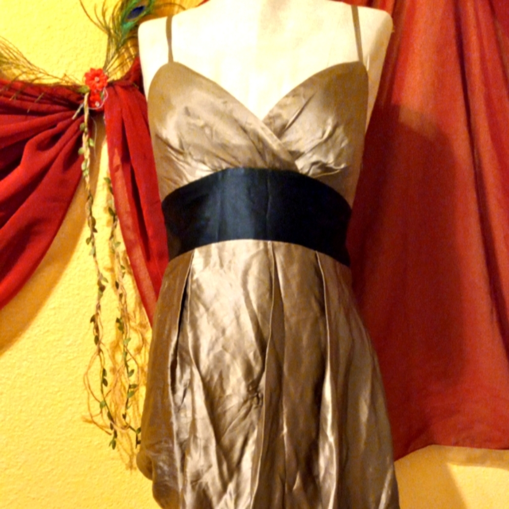 BCBGMAXAZRIA 100% SILK DRESS SIZE 2